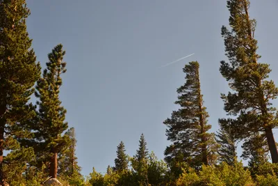 DSC_7820 (Large).JPG